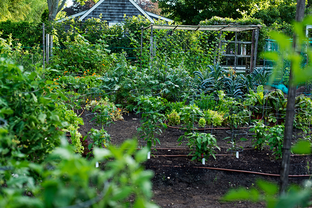 Farm-to-Table
